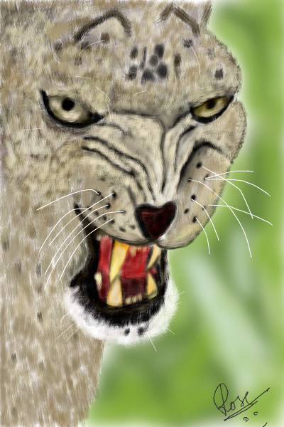 anger