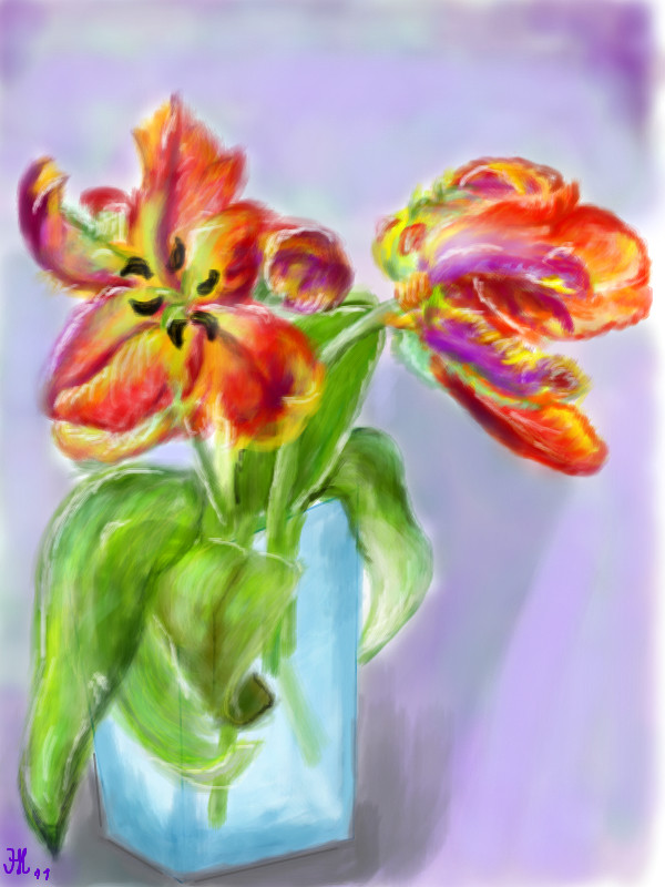 two-parrot-tulips-from