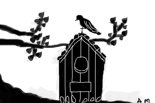 black-shadow-bird