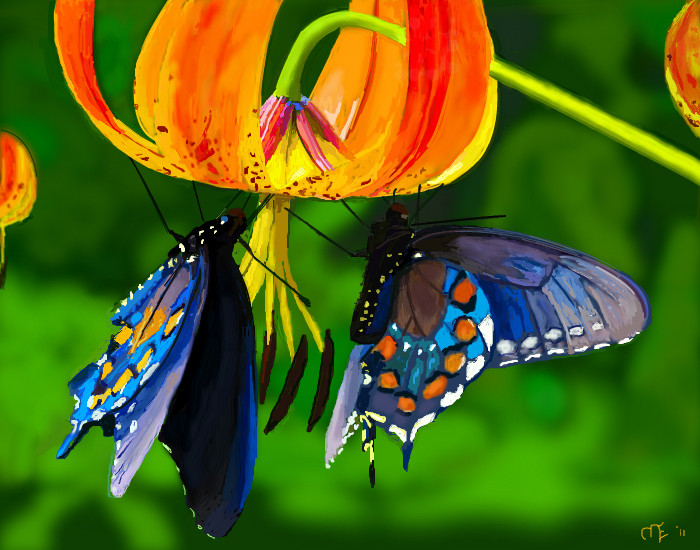 shared-nectar