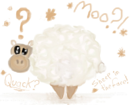 sheep-in-the-face