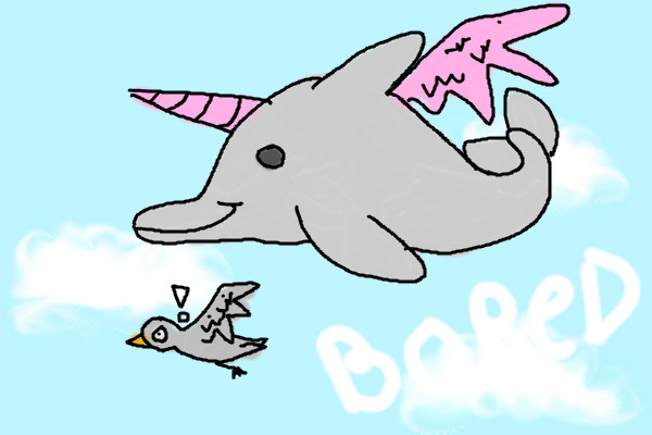 dolphins