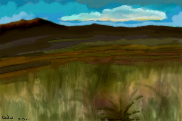 landscape