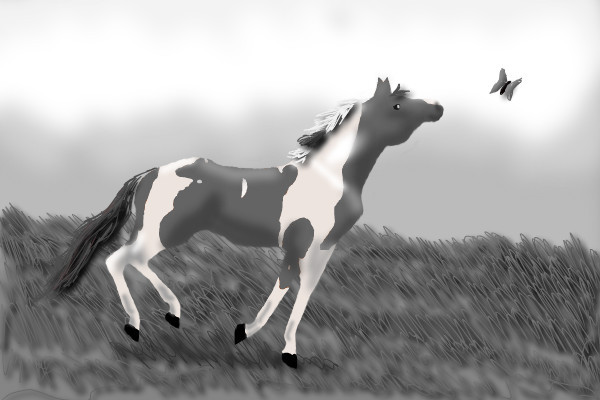 bugsy-black-and-white