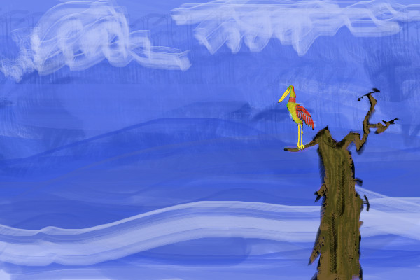 bird