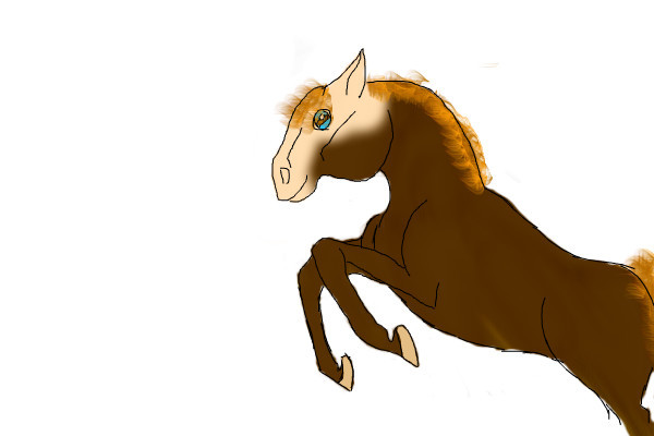 first-horse