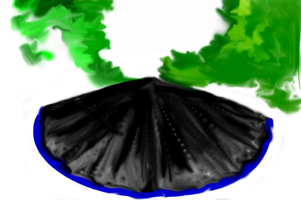 umbrella-unfinished