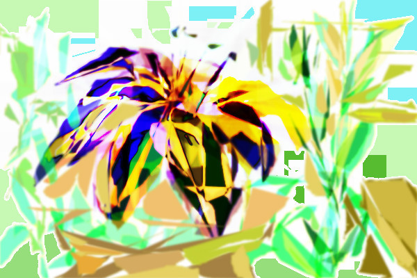 the-flower