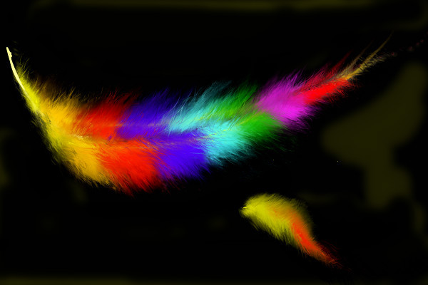 pluck