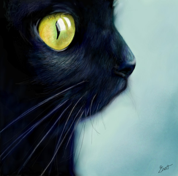 blackat
