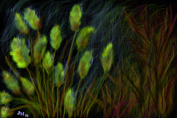 grasses