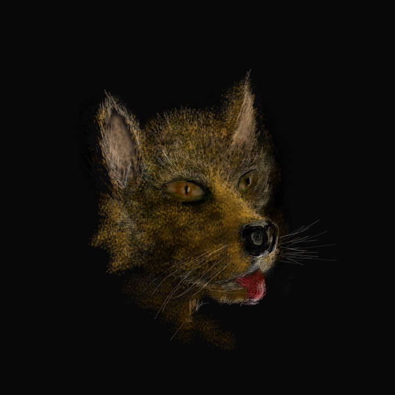 foxy-dog-thing