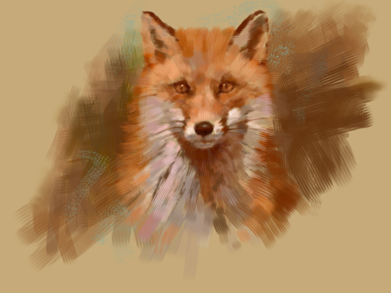the-quick-red-fox