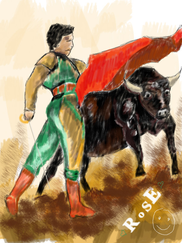 bull-fight