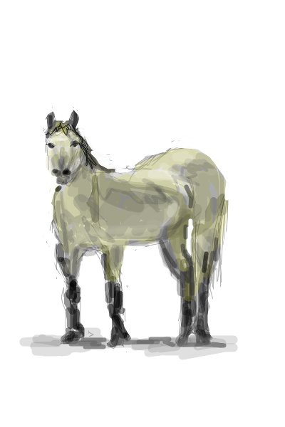 horse