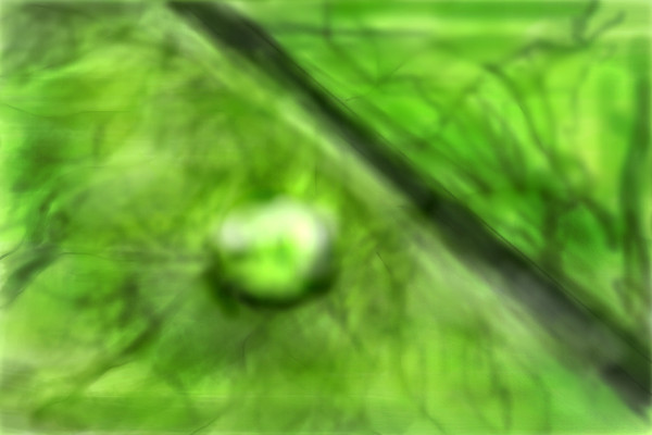 9162011-2