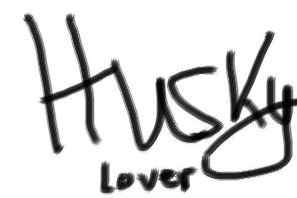 ya-i-love-huskies