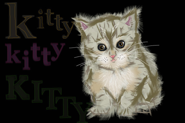 kitty