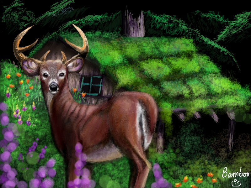 deer