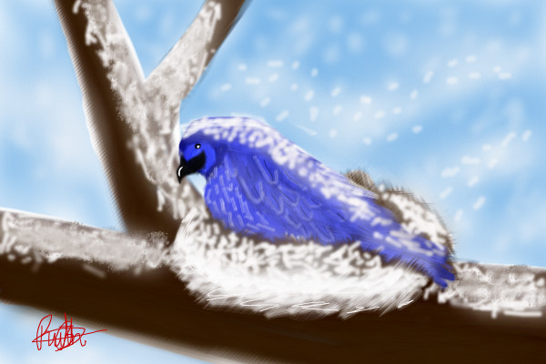 white-snow