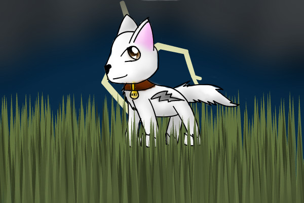 bolt