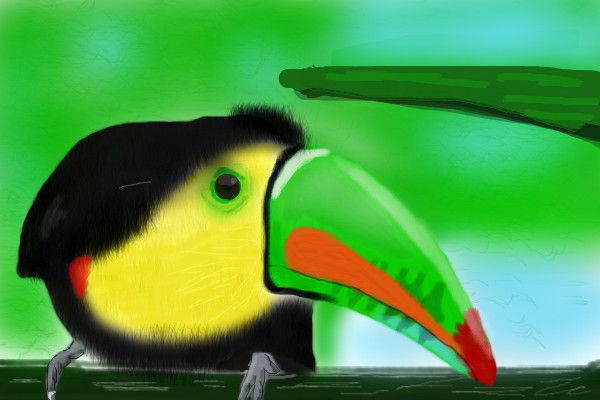 tucan