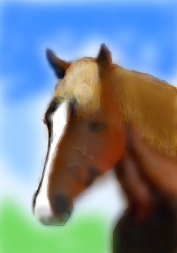 horse