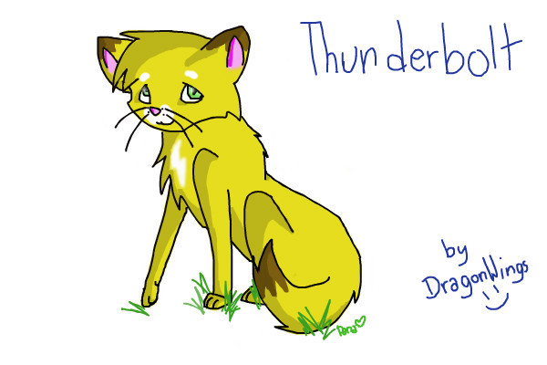 thunderbolt