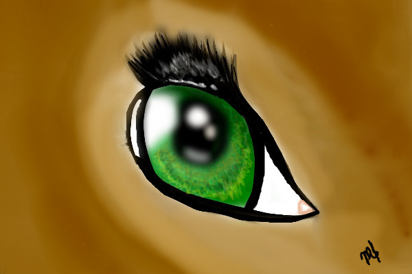 can-you-see-me