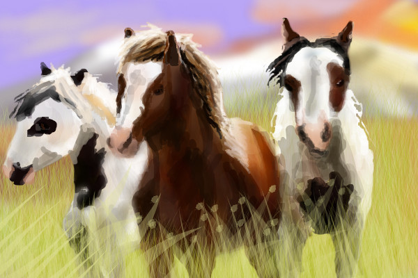 horse-trio