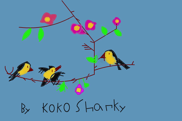bird