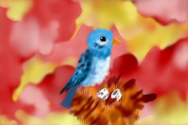 pajarito-segundo-paso