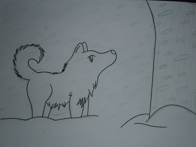 snowstormjpg
