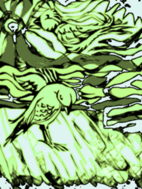 birds