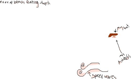 betsy-vs-ali-1