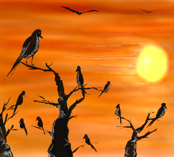birds-gather