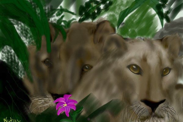 lions