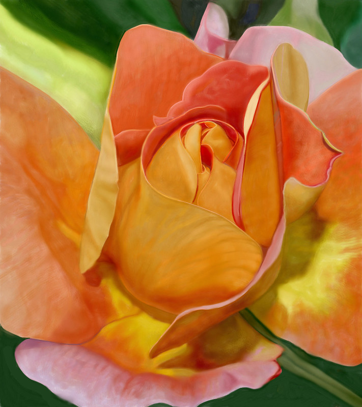 a-rose-of-a-different-