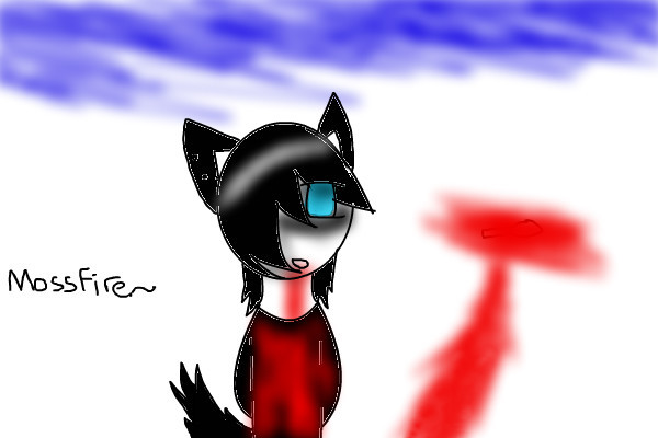 shadow
