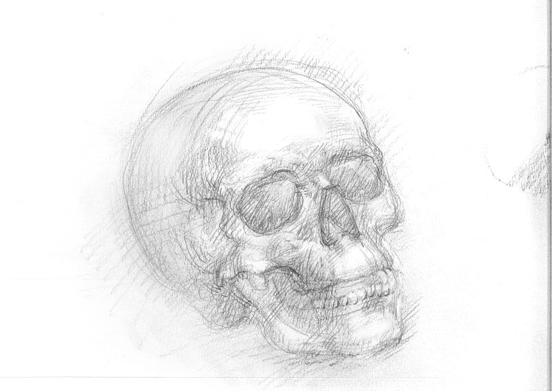 skull