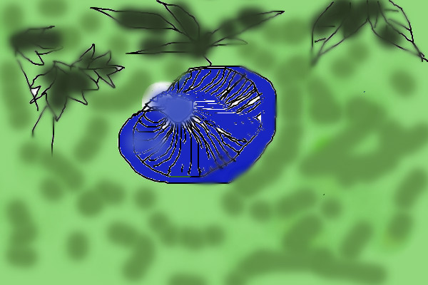 blue-milk-mushroom