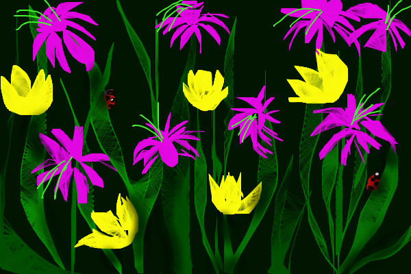 garden