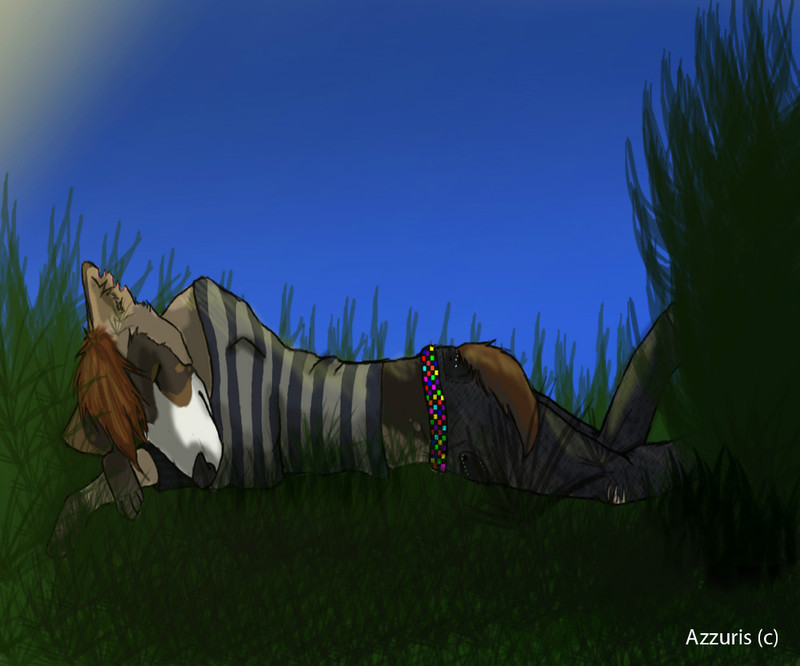 my-furry