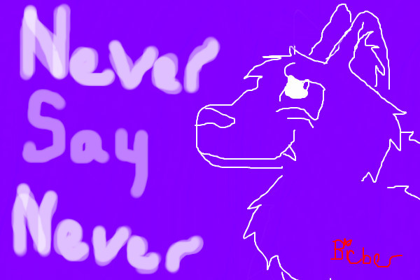 never-say-never