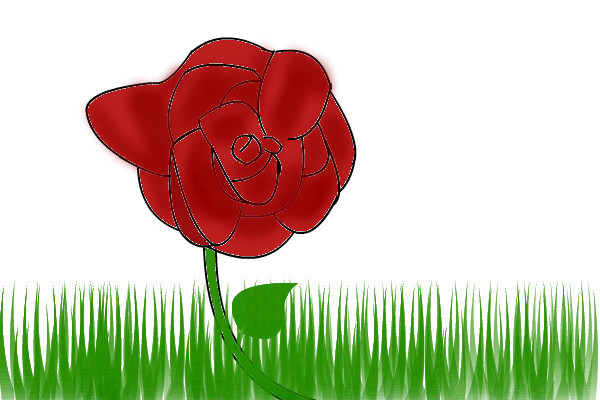 rose