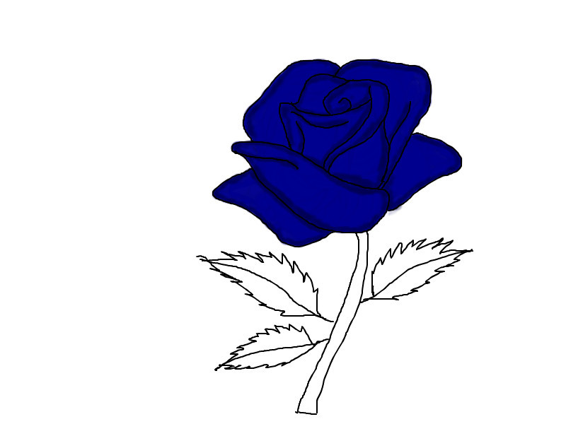 blue-rose