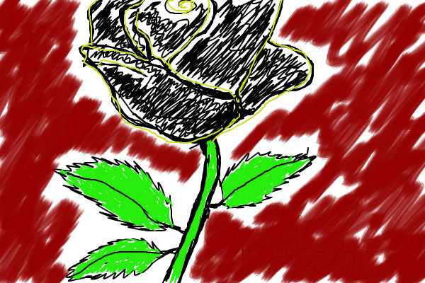 rose