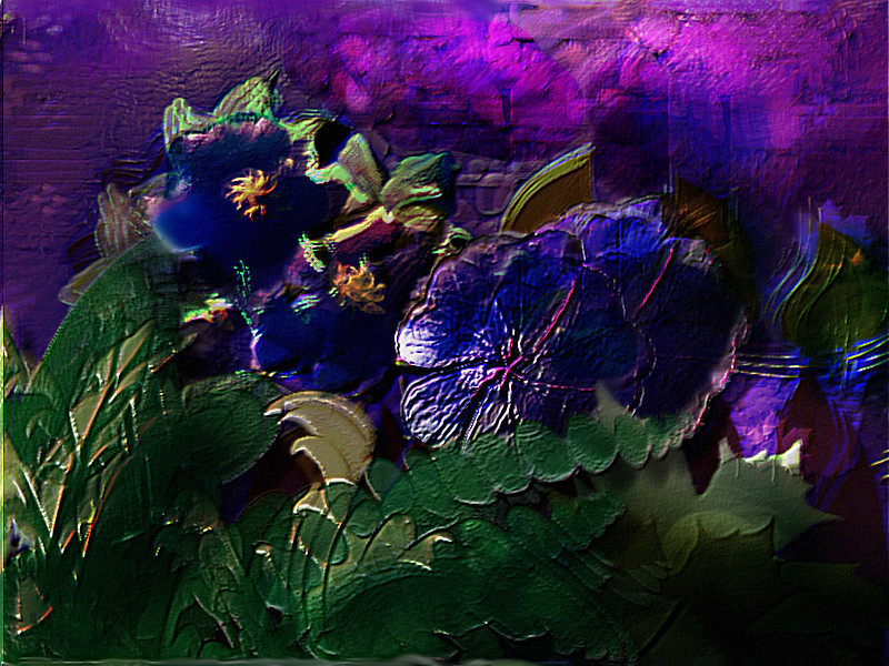 fridas-garden