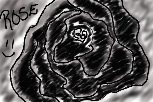 black-rose
