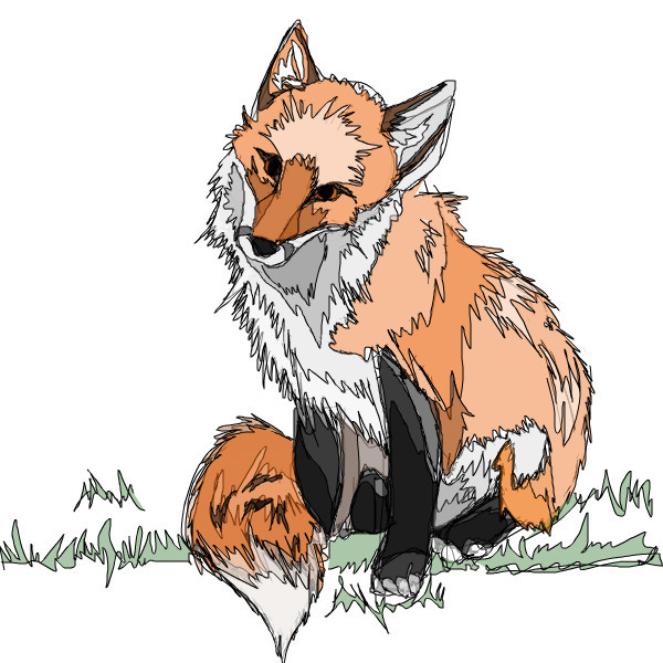 fox